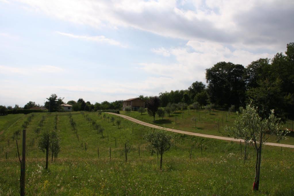 Agriturismo Da Merlo Trivignano Exterior photo